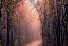 AYX-包含凯恩在日本队比赛中晋级下一阶段，出色防守引发热议！的词条